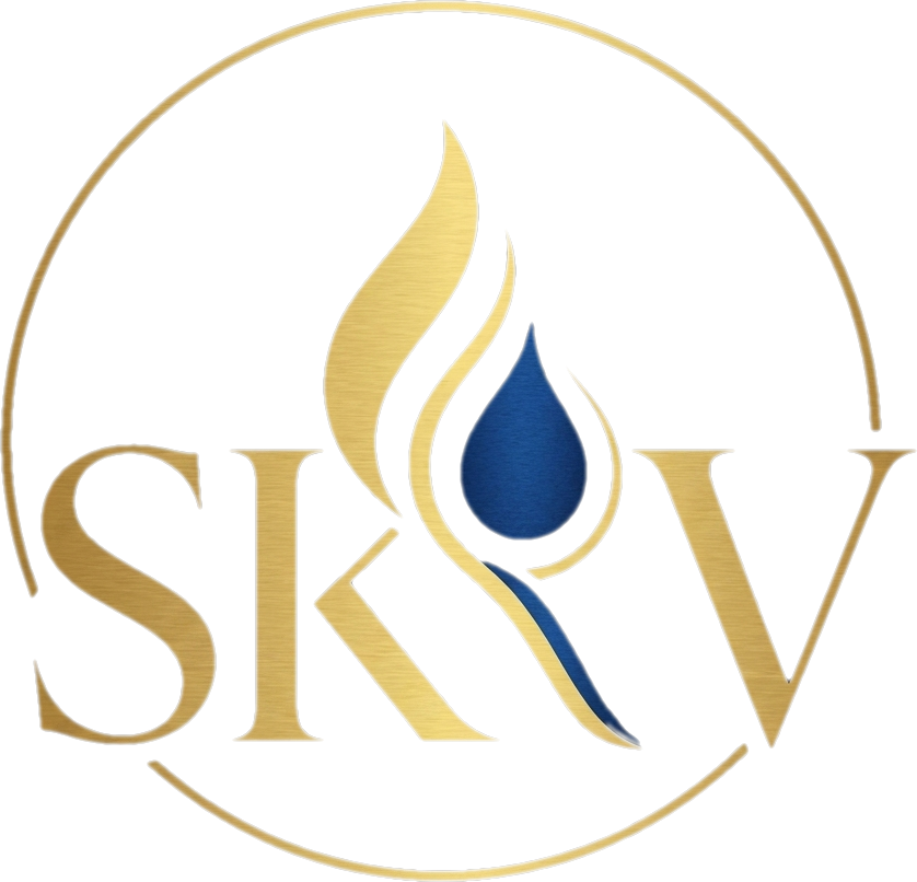 SKV Expert Ltd logo